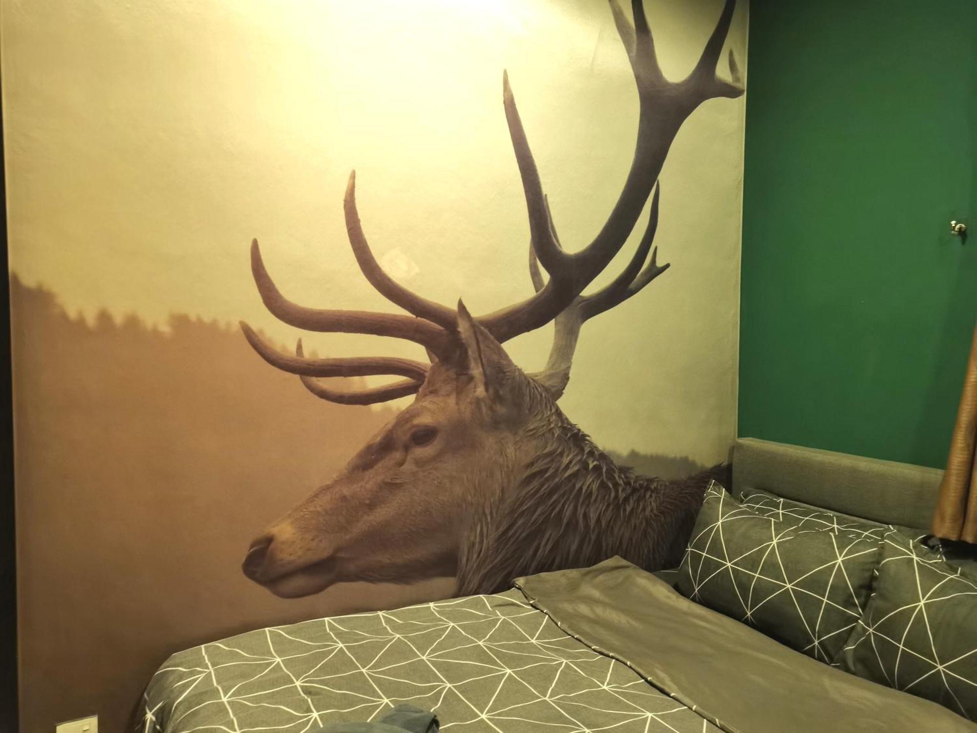 Cozy Forest Themed Homestay 4 Bedroom Kuala Lumpur Dış mekan fotoğraf